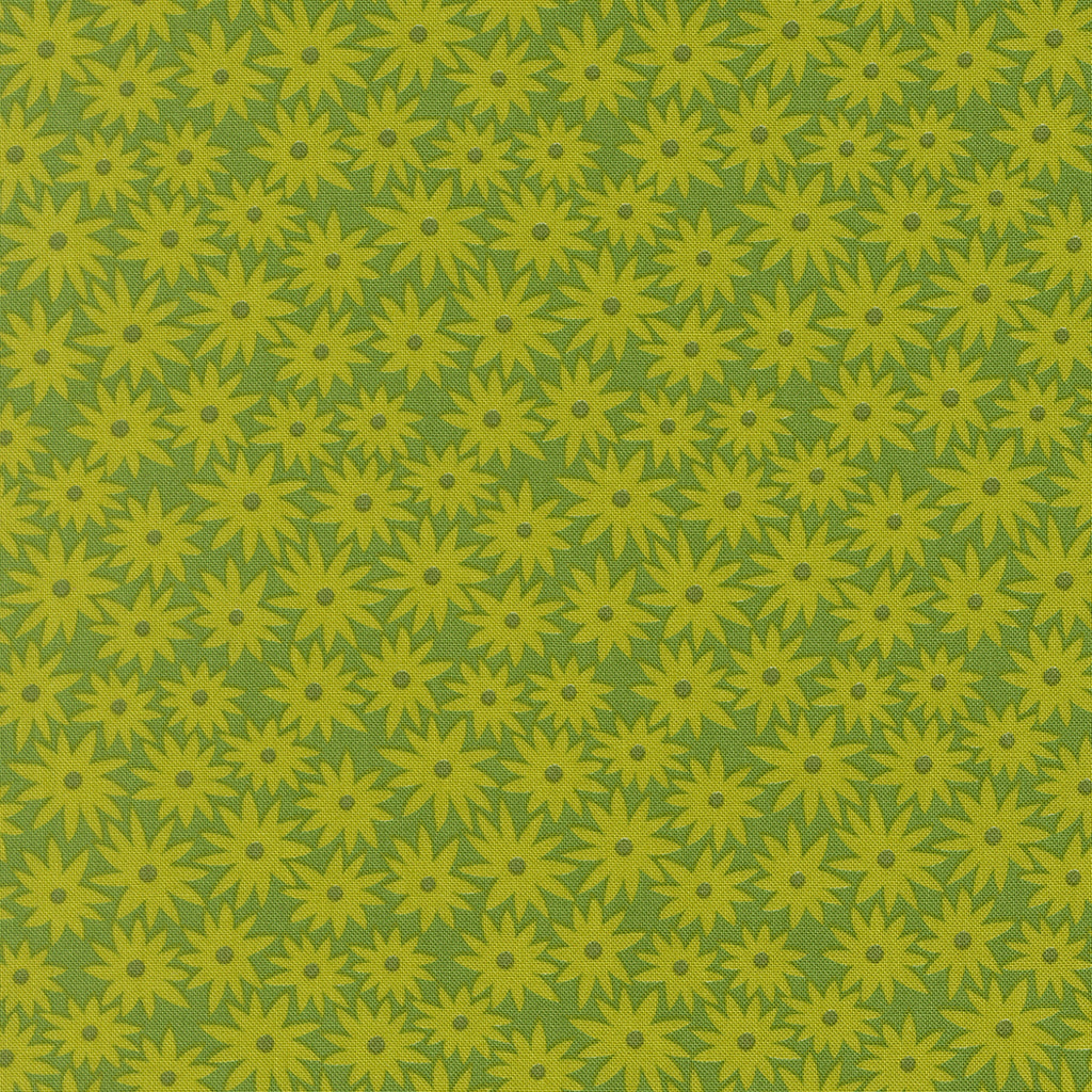 PREORDER - FAT QUARTER BUNDLE - SCENERY - MODA