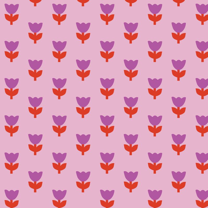 Tulip Tango - Pink - A Tulip Story - Cloud9
