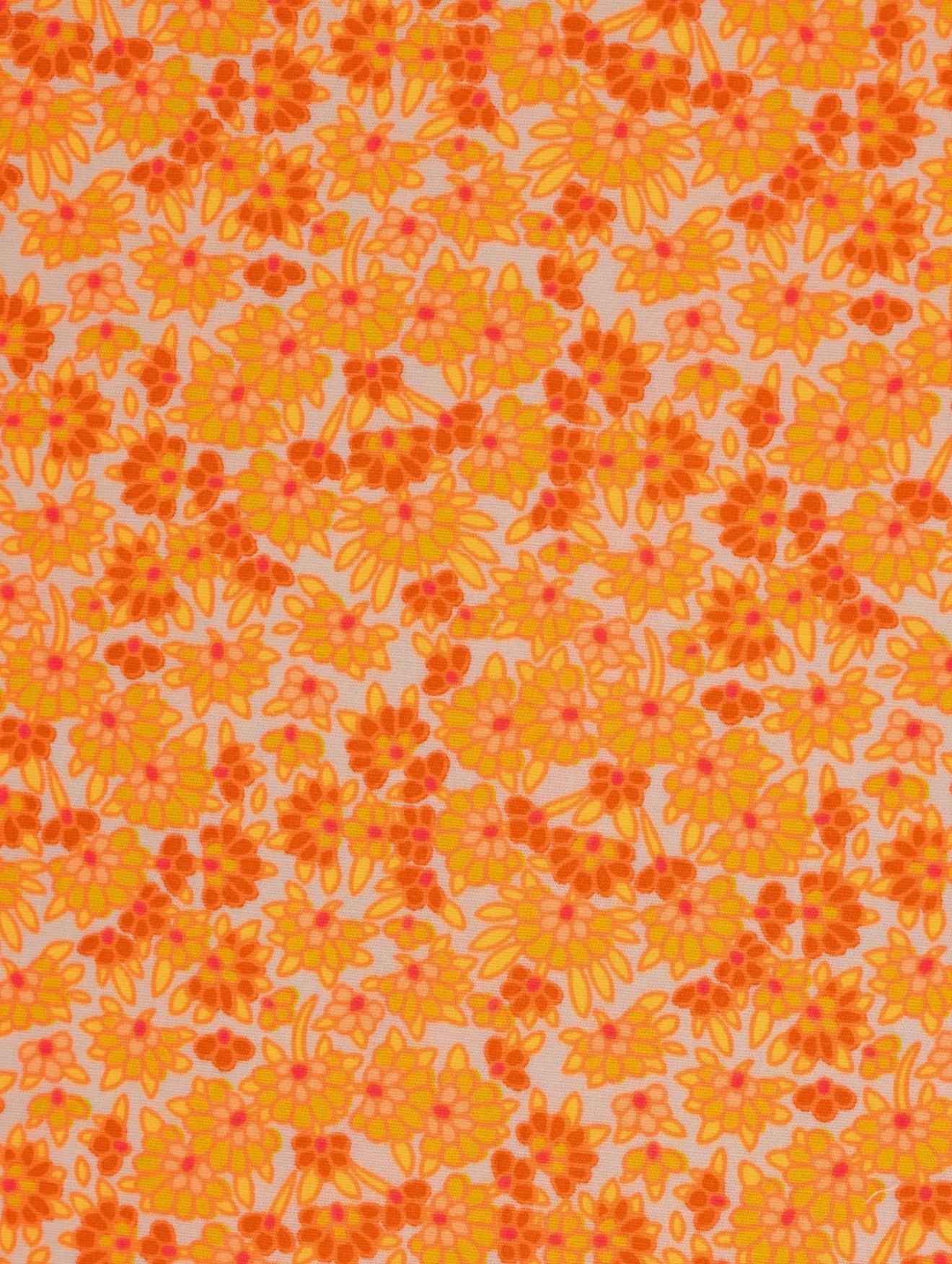 Calendula - Petit Pan