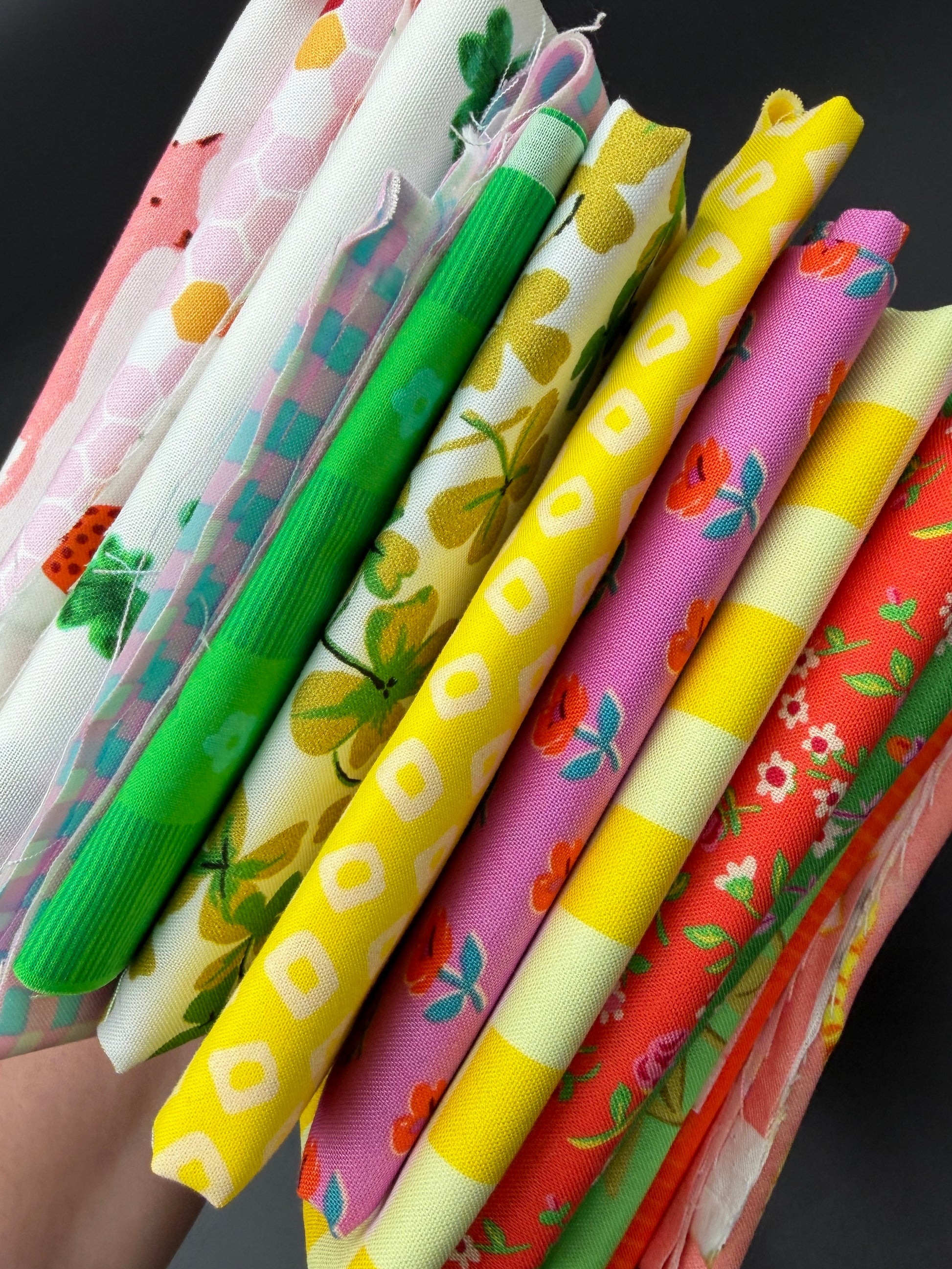 Mystery Scrap Bundle - Heather Ross/Windham