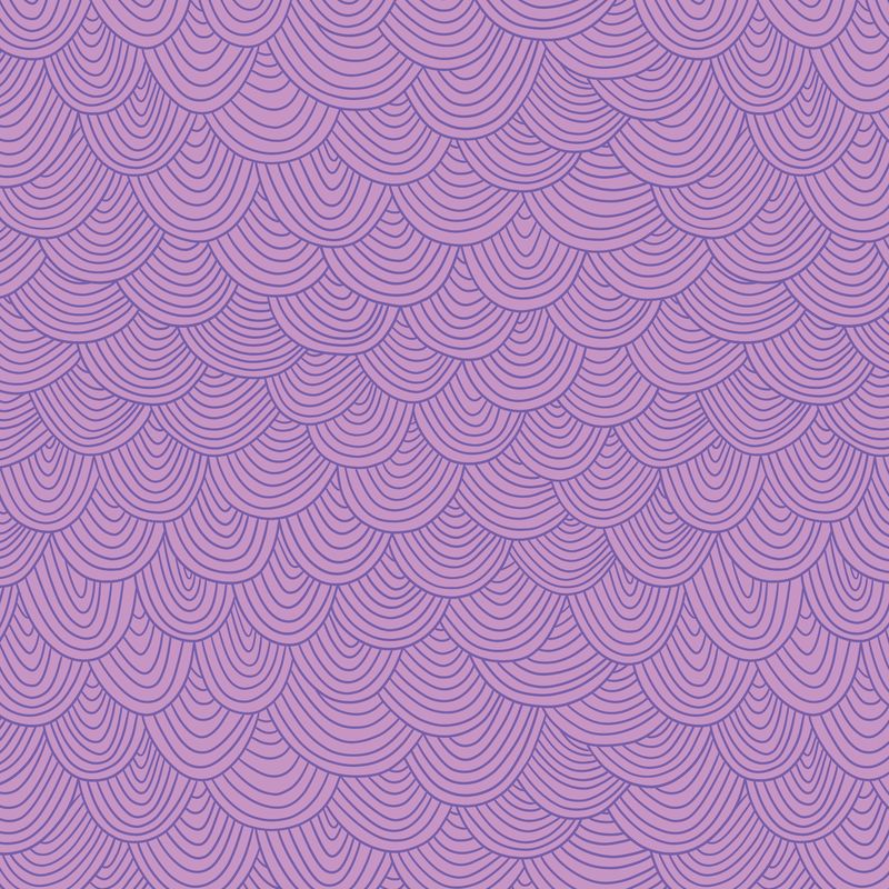 Orchid Scallop - Wildest Dreams - Cloud9