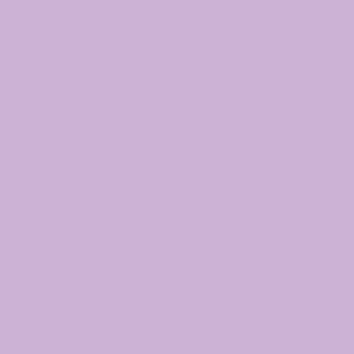 Day Dreamer - AGF Pure Solids PE587