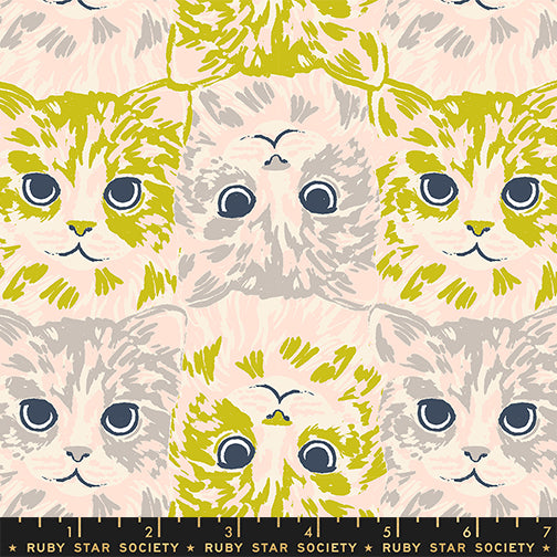 PREORDER - Cat Checkers - Pistachio - Oops! All Cats - Ruby Star Society