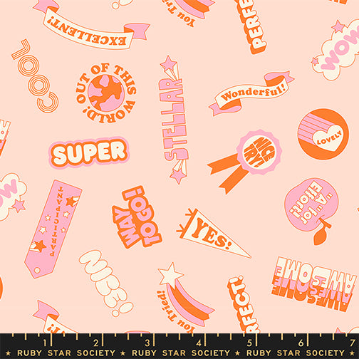 PREORDER - Reward Stickers - Pale Peach - Sticker Book - Ruby Star Society