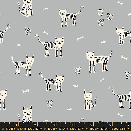 PREORDER - My Pet Skeleton - Steel - Boo Valley - Ruby Star Society