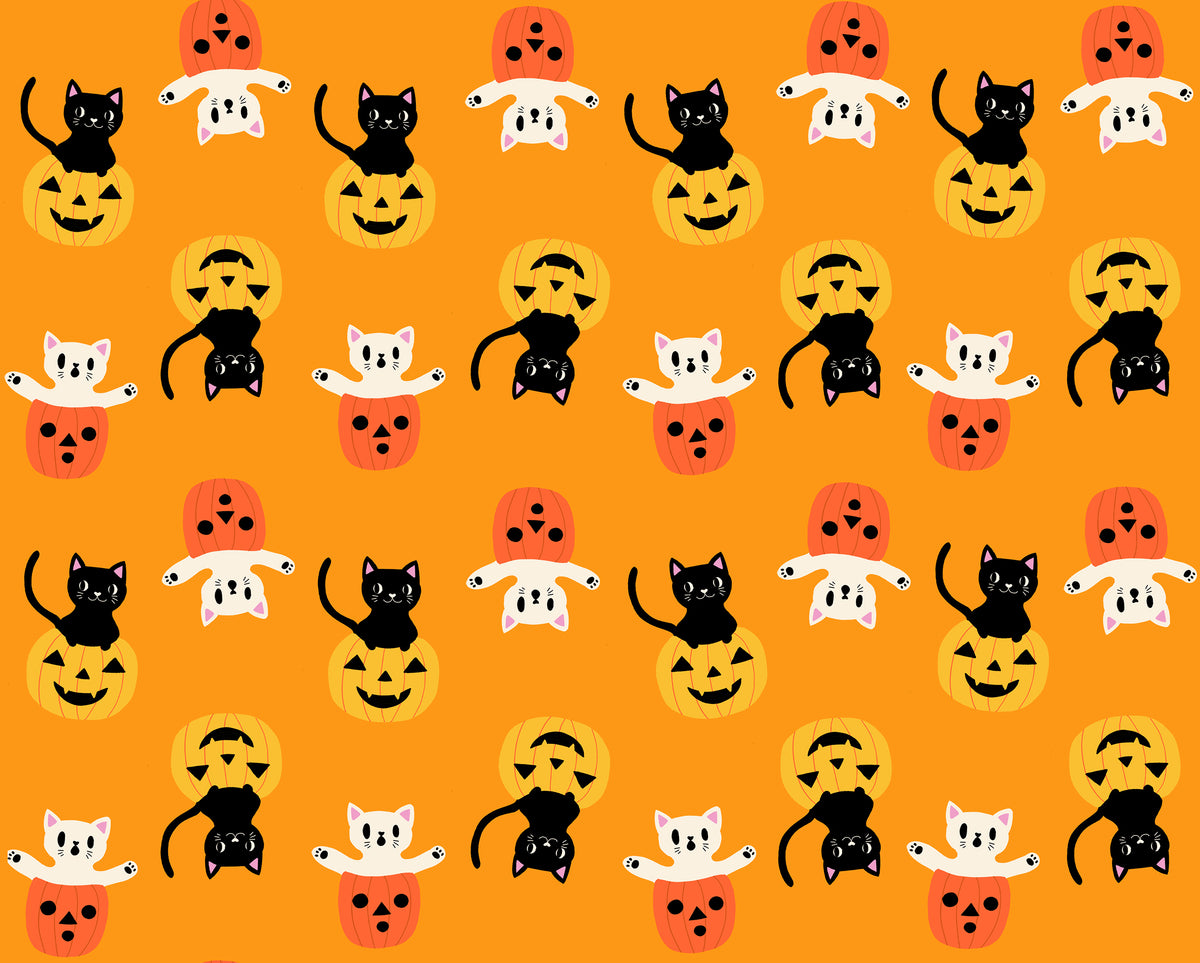 PREORDER - Boo to You - Cheddar - Boo Valley - Ruby Star Society