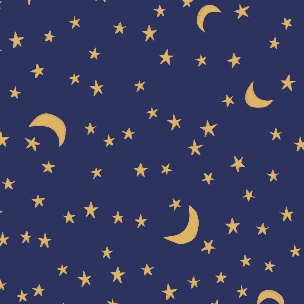 Moonlit Night - Navy - House Mouse - Cloud9
