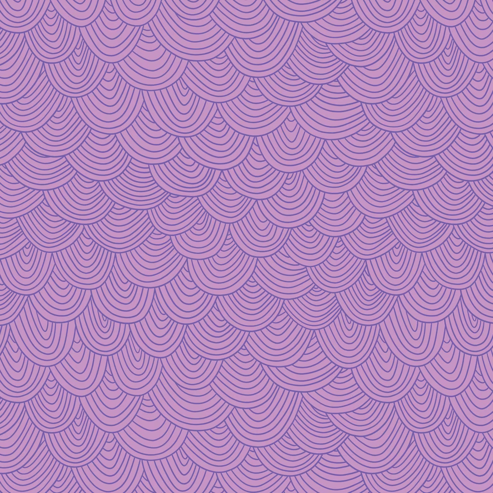 4.5 yards - end of bolt deal - Orchid Scallop - Wildest Dreams - Cloud9 Fabrics