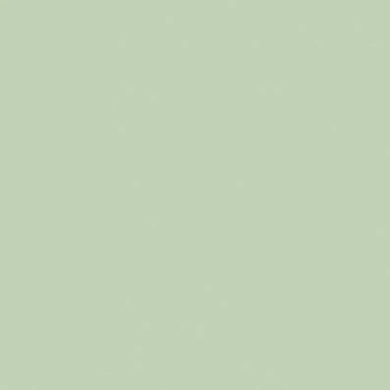 Confetti Cotton™ Sage